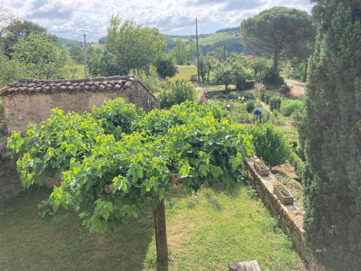 La Ferme Du Paradis Verfeil-sur-Seye Екстериор снимка