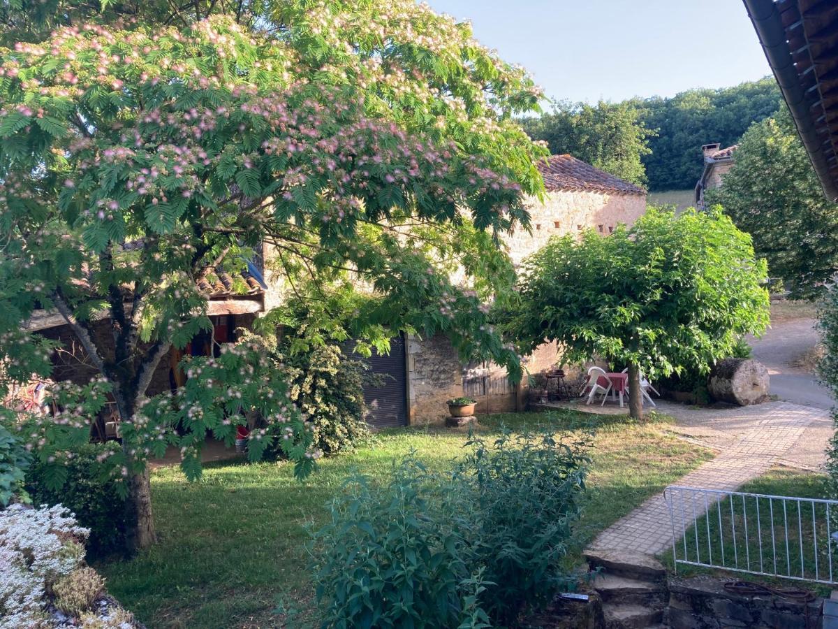 La Ferme Du Paradis Verfeil-sur-Seye Екстериор снимка
