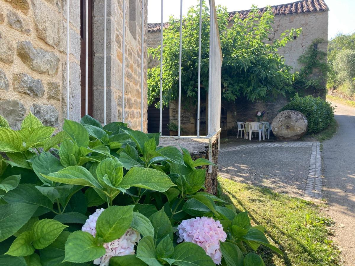 La Ferme Du Paradis Verfeil-sur-Seye Екстериор снимка